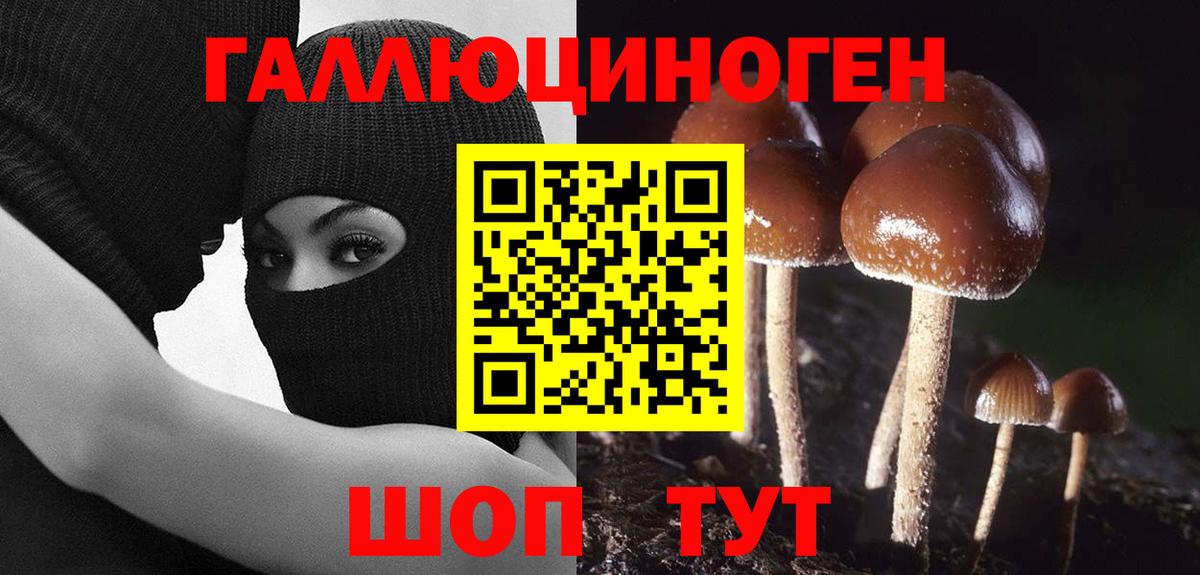 Галлюциногенные грибы мухоморы  закладка  Ульяновск  Вход с VPN 